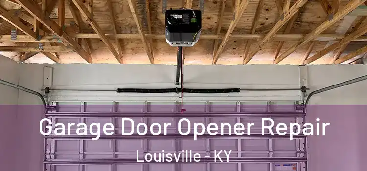  Garage Door Opener Repair Louisville - KY