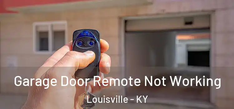  Garage Door Remote Not Working Louisville - KY