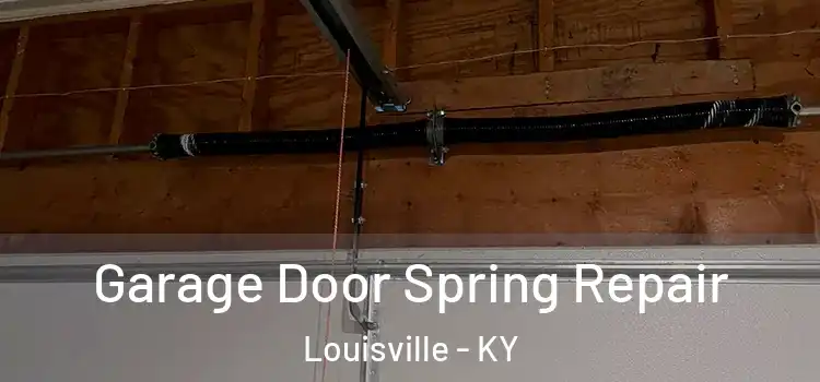  Garage Door Spring Repair Louisville - KY