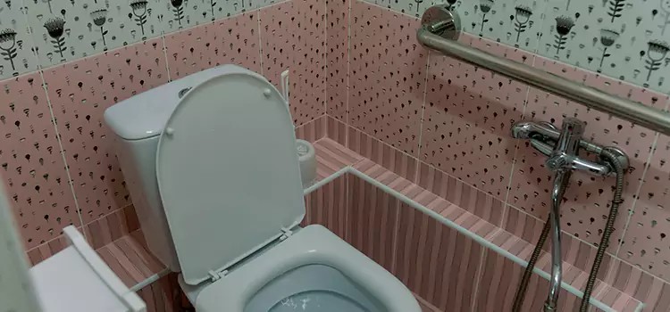 Meeting Diverse Needs With Accessible Restroom Solutions in Louisville, KY