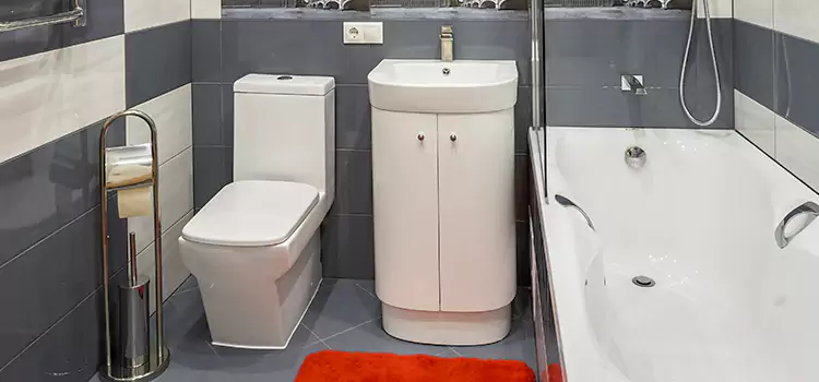 Hansgrohe Shaving Mirror Louisville