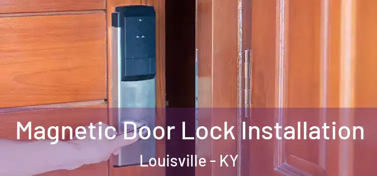 Magnetic Door Lock Installation Louisville - KY
