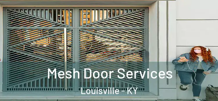 Mesh Door Services Louisville - KY