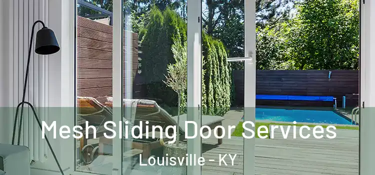 Mesh Sliding Door Services Louisville - KY