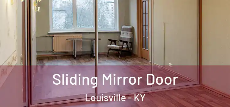 Sliding Mirror Door Louisville - KY